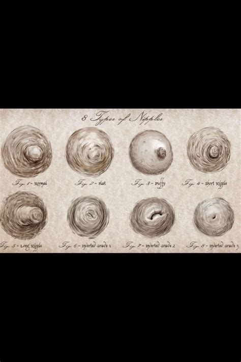 aurora nipples|There Are 8 Types of Nipples in the World